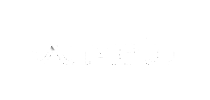 meta